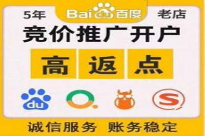 谷歌竞价广告的投放策略与成功案例分析